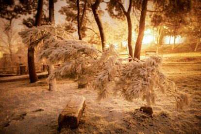 La nieve cubre Soria y el parque del Castillo.