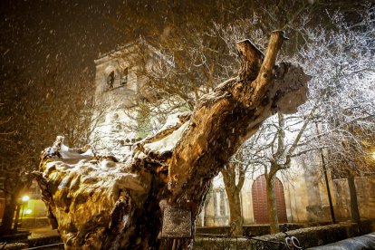 La nieve cubre Soria y el parque del Castillo