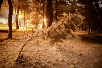 La nieve cubre Soria y el parque del Castillo