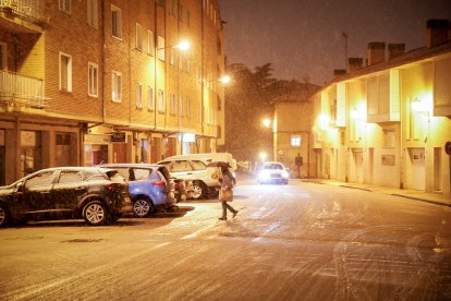 La nieve cubre Soria y el parque del Castillo