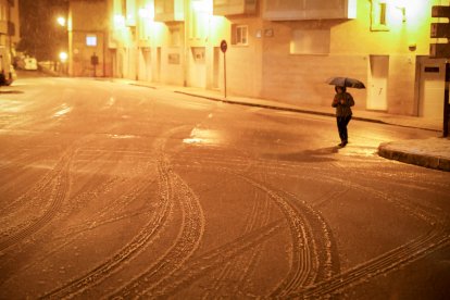 La nieve cubre Soria y el parque del Castillo