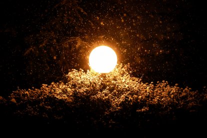 La nieve cubre Soria y el parque del Castillo