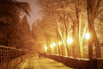 La nieve cubre Soria y el parque del Castillo