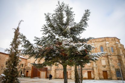 Acumulación de nieve en las calles y parques de Soria.