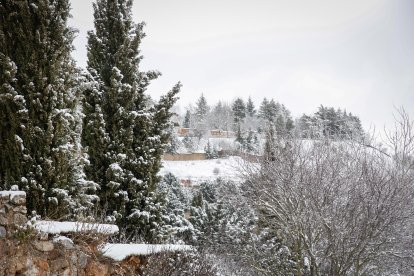 Acumulación de nieve en las calles y parques de Soria.