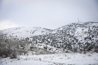 Acumulación de nieve en las calles y parques de Soria.