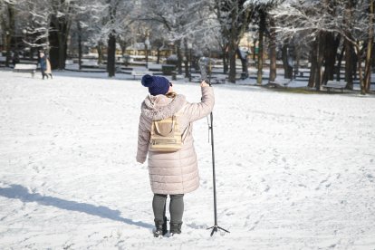 Acumulación de nieve en las calles y parques de Soria.