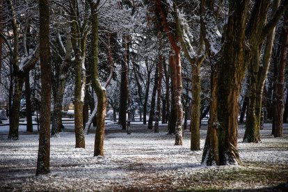 Acumulación de nieve en las calles y parques de Soria.