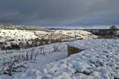 Acumulación de nieve en las calles y parques de Soria.