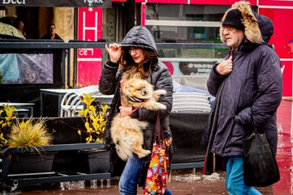 Tractores y un nutrido grupo de personas salieron a protestar en una lluviosa mañana