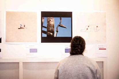 La Escuela de artes congrega obras de más de 50 artistas