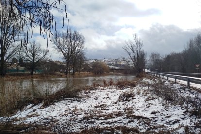 Río Tera a su paso por Garray, entre el nivel alto y la nieve.