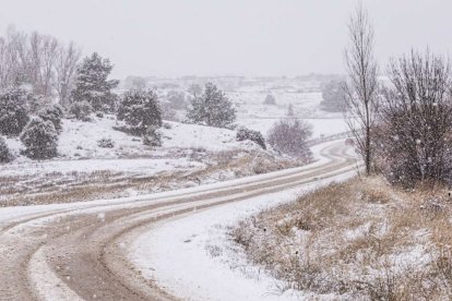 Estampas de capital y provincia con un manto blanco