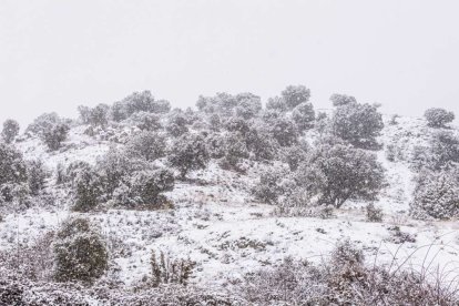 Estampas de capital y provincia con un manto blanco