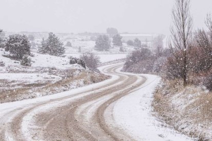 Estampas de capital y provincia con un manto blanco