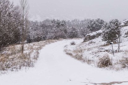 Estampas de capital y provincia con un manto blanco