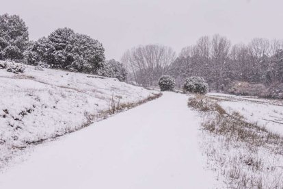Estampas de capital y provincia con un manto blanco