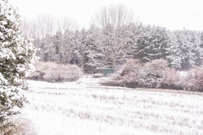 Estampas de capital y provincia con un manto blanco