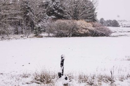 Estampas de capital y provincia con un manto blanco