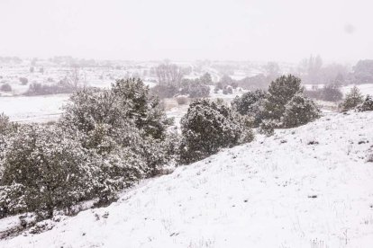 Estampas de capital y provincia con un manto blanco