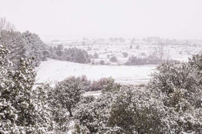 Estampas de capital y provincia con un manto blanco