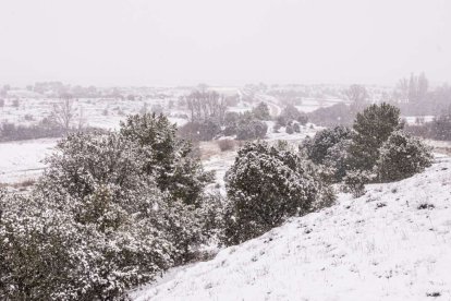 Estampas de capital y provincia con un manto blanco