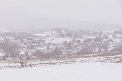 Estampas de capital y provincia con un manto blanco