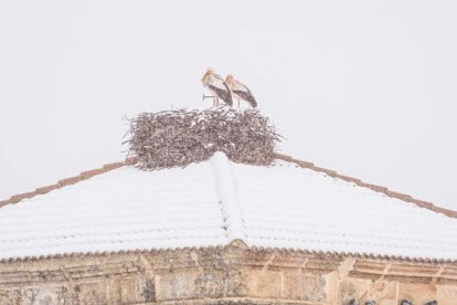 Estampas de capital y provincia con un manto blanco