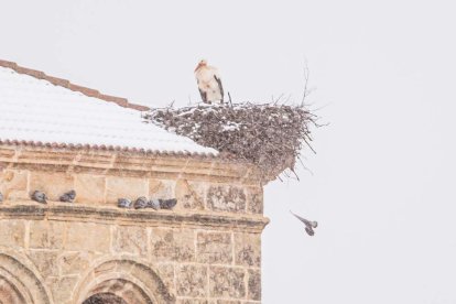 Estampas de capital y provincia con un manto blanco