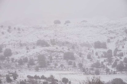 Estampas de capital y provincia con un manto blanco