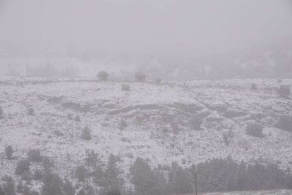 Estampas de capital y provincia con un manto blanco