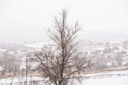 Estampas de capital y provincia con un manto blanco