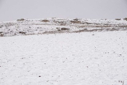 Estampas de capital y provincia con un manto blanco