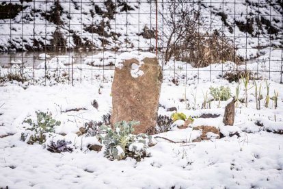 Estampas de capital y provincia con un manto blanco