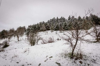 Estampas de capital y provincia con un manto blanco
