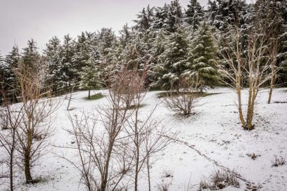Estampas de capital y provincia con un manto blanco