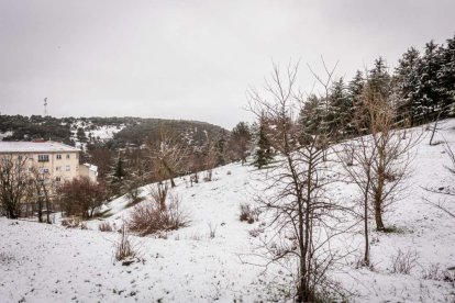 Estampas de capital y provincia con un manto blanco