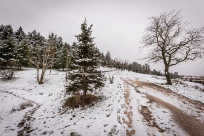 Estampas de capital y provincia con un manto blanco