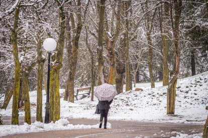 Estampas de capital y provincia con un manto blanco