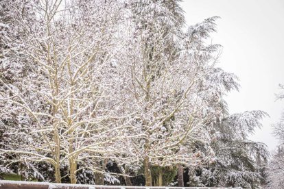 Estampas de capital y provincia con un manto blanco