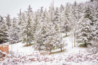 Estampas de capital y provincia con un manto blanco