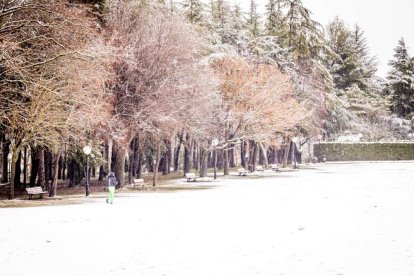 Estampas de capital y provincia con un manto blanco