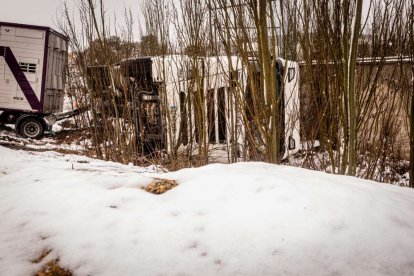 Estampas de capital y provincia con un manto blanco