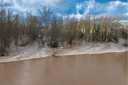 Imágenes aéreas de la crecida del Duero en Soria.