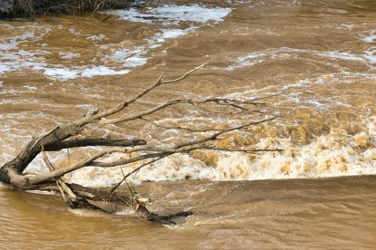 Imágenes aéreas de la crecida del Duero en Soria.