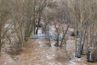 Imágenes aéreas de la crecida del Duero en Soria.