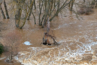 Imágenes aéreas de la crecida del Duero en Soria.