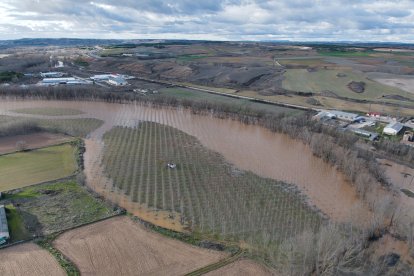Imágenes aéreas de la crecida del Duero en Soria.