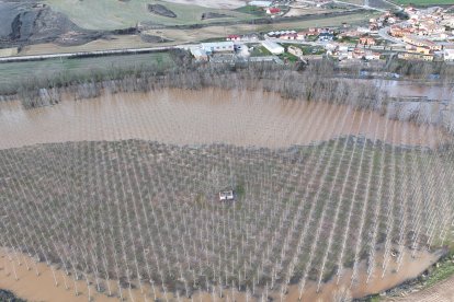 Imágenes aéreas de la crecida del Duero en Soria.