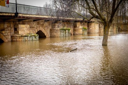 Las zonas aledañas al cauce permanecen bajo el agua